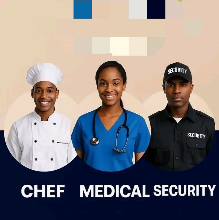 Chief Tailor product and Services